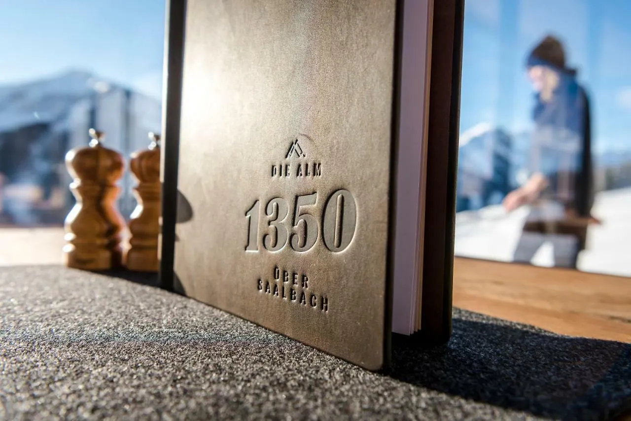 Apartment Die Alm 1350 Saalbach-Hinterglemm